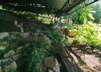 Cannicella, l’area archeologica etrusca dimenticata: l’appello di un cittadino al Comune di Orvieto