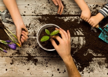 Con “Orto e Mangiato” gli alunni  producono cibo “biologico”alla primaria Ciconia