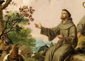 Concorso per le scuole “San Francesco d’Assisi: il pensiero, l’opera, la cultura e la sua eredità”