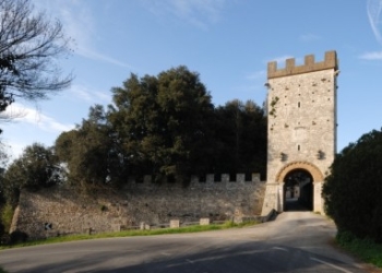 Riqualificazione della Sp 46 di Tordimonte, al via petizione popolare. Interrogazione in Provincia di Marinelli