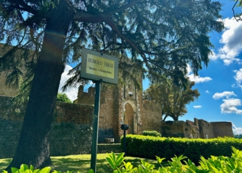 Intitolata a Romolo Tiberi l’area verde di Piazza Cahen di fronte alla Fortezza Albornoz