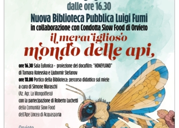 In biblioteca un pomeriggio per scoprire “Il meraviglioso mondo delle api”
