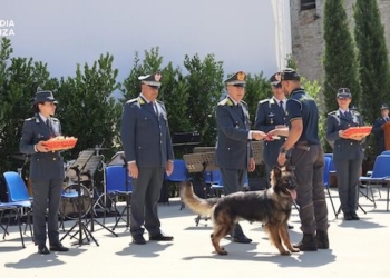 GdF, legione allievi: 24 nuovi istruttori e conduttori cinofili antidroga. Diplomato il 59esimo Corso