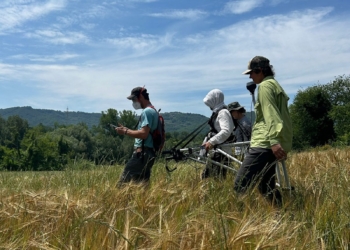 Giove, archeologici dell’Università della Pennsylvania hanno condotto studi sulle antiche fornaci