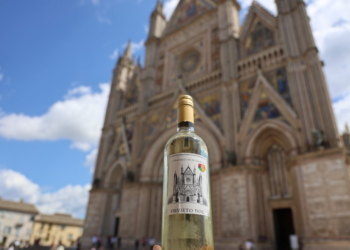 Orvieto Doc a 10 gradi, approvato il nuovo disciplinare. Primi vini sul mercato e progetto di ricerca per una denominazione più moderna e sostenibile