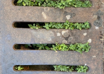 Pulizia di tombini e caditoie: ora parola ai cittadini