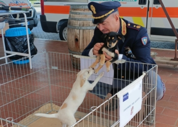 La “Carovana della sicurezza” fa tappa presso l’area di servizio Tevere Est