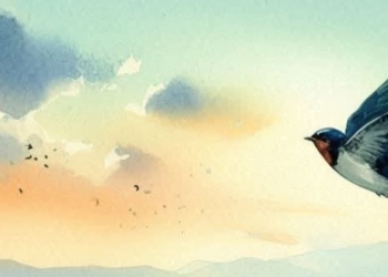 Settembre orvietano e il rito delle rondini