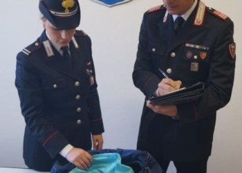 Furto in abitazione sventato e refurtiva recuperata dai Carabinieri