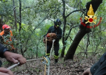Cagnetta cade in un dirupo, recuperata dai Vigili del Fuoco
