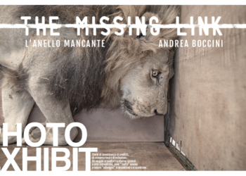 “The Missing Link – L’Anello Mancante”: esposizione fotografica a Palazzo Cesi
