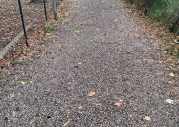 M5S: “Orvieto e le sue contraddizioni: ospita il Disability Pride, ma esclude i cittadini con disabilità dai parchi”