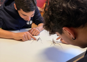 All’Istituto tecnico agrario di Fabro da settembre 2026 arriva l’indirizzo Viticoltura ed Enologia