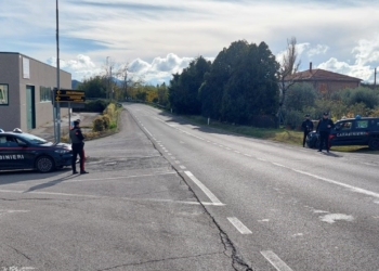 Servizi di controllo straordinario del territorio dell’Arma, il bilancio