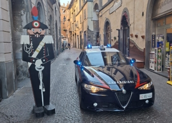 Celebrazione della Giornata dell’Unità nazionale e delle forze armate