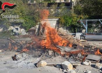 Combustione illecita rifiuti: denunciato il responsabile di una ditta