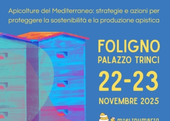 La Fondazione Meleiros con il Team Europe Direct della Commissione europea al XI° Forum dell’Apicoltura del Mediterraneo