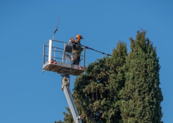 Senso unico alternato su Strada della Stazione per la potatura di piante pericolose