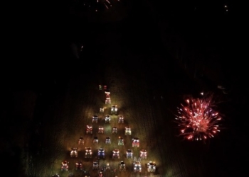 “Agrialbero”: una nuova tradizione natalizia illumina il territorio