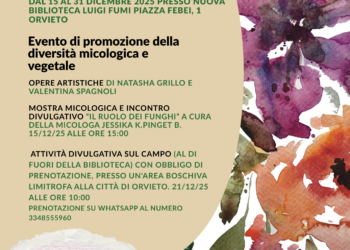 “Miconnessioni. Dialoghi del Sottobosco” alla Nuova Biblioteca Pubblica “Luigi Fumi”