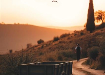 Nelle pagine de “La scelta giusta” di Maria Moscogiuri anche Orvieto e Montecchio e Baschi