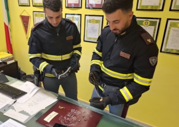 Truffano due anziani per 10mila euro in gioielli: denunciati dalla Polizia due giovani di 17 e 19 anni