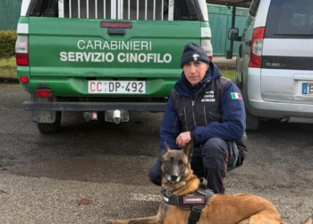 Sopralluogo e bonifica dei giardini pubblici di Fabro scalo dai Carabinieri Forestali