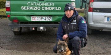 Sopralluogo e bonifica dei giardini pubblici di Fabro scalo dai Carabinieri Forestali