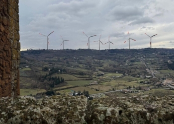 Phobos, Tommasi (Amici della Terra): “Responsabilità della Regione e richiesta di una Commissione di inchiesta”