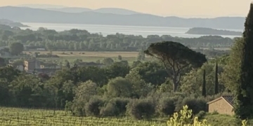 Le giornate delle donne del vino: dal 1 al 5 marzo in Umbria eventi sul tema “Donne, vino, cibo”