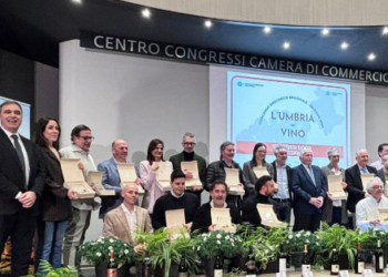 “L’Umbria del Vino” 2026: tutte le cantine e i vini vincitori del concorso regionale