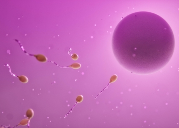 Nasce a Orvieto “Culla di Luce”: un nuovo gruppo di auto mutuo aiuto dedicato alla fecondazione assistita