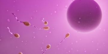 Nasce a Orvieto “Culla di Luce”: un nuovo gruppo di auto mutuo aiuto dedicato alla fecondazione assistita