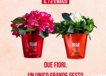 Anche a Terni, Orvieto e San Gemini gardenie e ortensie per fermare la sclerosi multipla