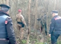 Controllate a tappeto le aree boschive dell’Orvietano, due arresti e una denuncia