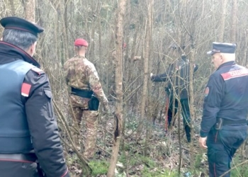 Controllate a tappeto le aree boschive dell’Orvietano, due arresti e una denuncia