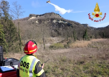 Domato il vasto incendio boschivo: distrutti 5 ettari, decisivo l’intervento aereo