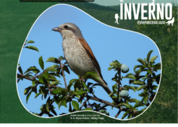 “La biodiversità nella Riserva Naturale Monte Rufeno”