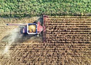Origine doganale dei prodotti agricoli e alimentari, unanimità dal Consiglio alla revisione della disciplina