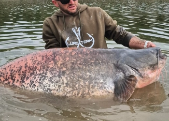 Record nelle acque del Lago di Corbara: catturato pesce siluro “monstre” da 80 kg