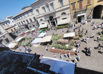 Esordio boom per la mostra mercato dei fiori  e delle piante in Piazza della Repubblica