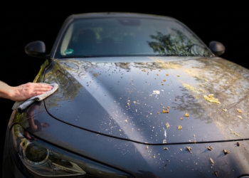 Maggio: La tua auto sotto attacco? Ecco come difenderla dai “nemici” della primavera