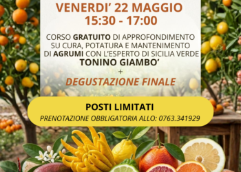 I segreti degli agrumi: da Cerquitelli Brico-Garden un corso gratuito per imparare l’arte della coltivazione