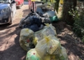 Raccolti oltre 250 kg di rifiuti lungo le sponde del lago di Corbara