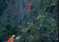 Sp Bagnorese e strada della Cacciata: “Dopo il video del Comitato, in rete è tutto un corri corri”