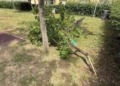 Atti vandalici nel parco di via degli Eucalipti, il Comune sporgerà denuncia