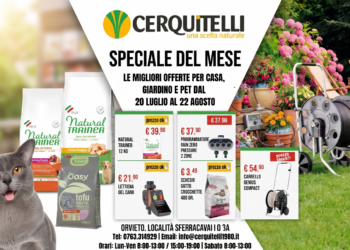 Scattano nuove promozioni estive da Cerquitelli Brico-Garden su casa, giardino e pet
