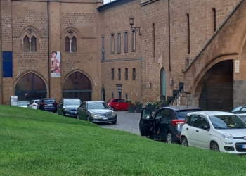 “Il comitato provinciale, l’assessore Spagnoli e le fioriere”