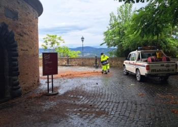 Alberi caduti e allagamenti per un forte nubifragio su Orvieto: il punto sugli interventi