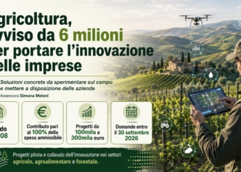 Agricoltura, avviso da 6 milioni per portare l’innovazione nelle imprese